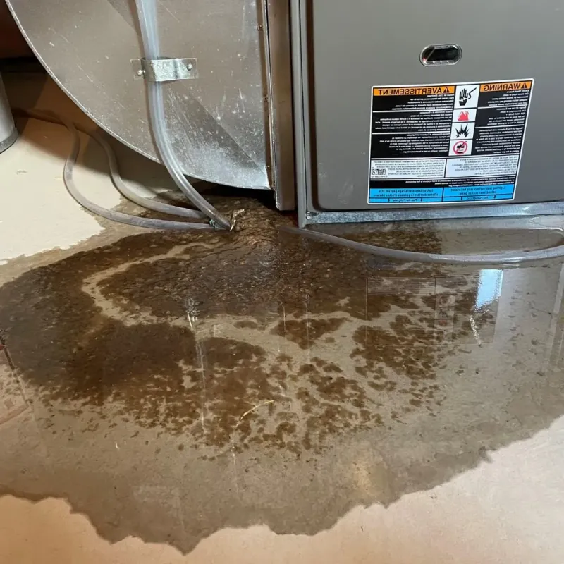 Pipe Burst and Leak Restoration in Trenton, NE