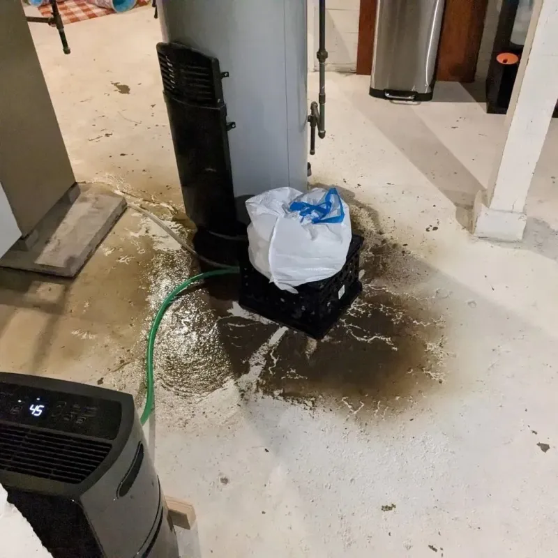 Sewage Backup Cleanup Service in Trenton, NE